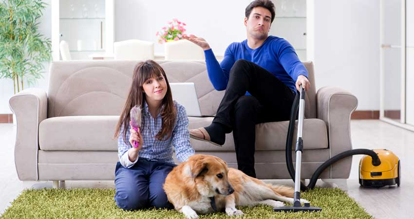 What Is The Best Vacuum For Pet Hair Handhelds Uprights